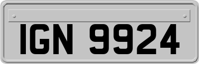 IGN9924