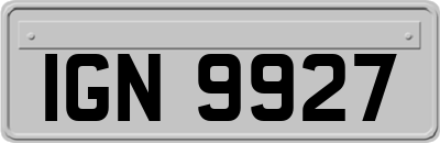 IGN9927