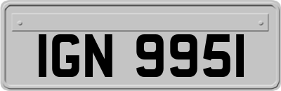 IGN9951