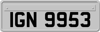 IGN9953