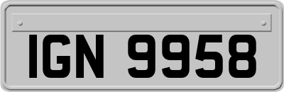 IGN9958