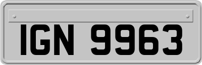IGN9963