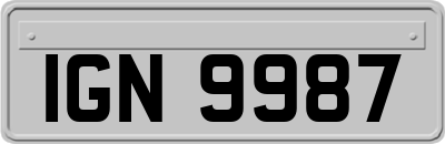 IGN9987