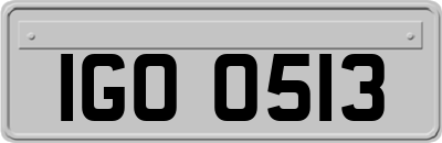 IGO0513