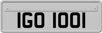 IGO1001
