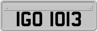 IGO1013