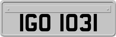 IGO1031
