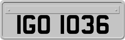 IGO1036