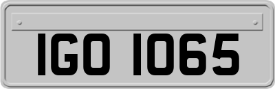 IGO1065