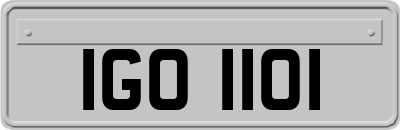IGO1101