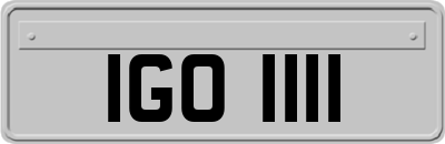 IGO1111