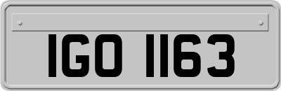 IGO1163