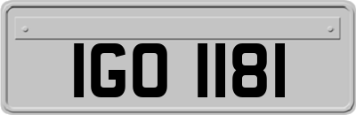 IGO1181