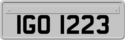 IGO1223