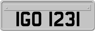 IGO1231
