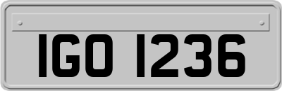 IGO1236
