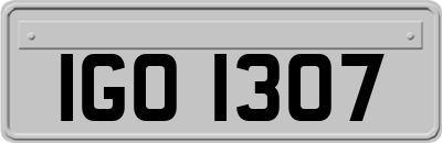 IGO1307