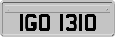 IGO1310