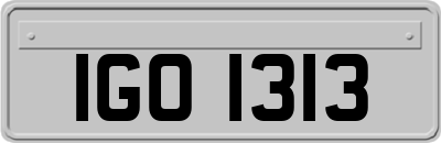 IGO1313