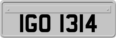 IGO1314
