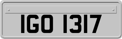 IGO1317