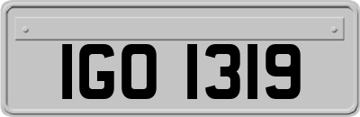IGO1319