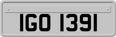 IGO1391