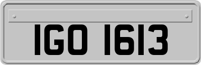 IGO1613