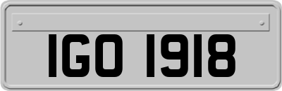 IGO1918