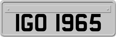 IGO1965