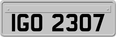 IGO2307