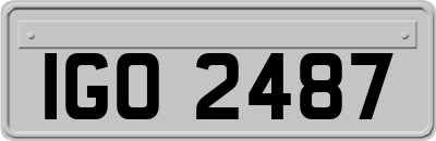IGO2487