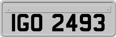 IGO2493