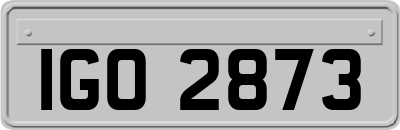 IGO2873