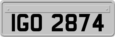 IGO2874
