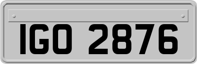 IGO2876