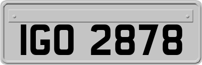 IGO2878