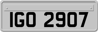 IGO2907