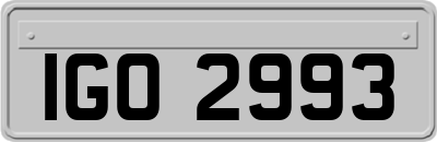 IGO2993