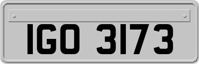 IGO3173
