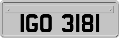 IGO3181