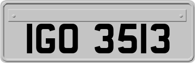 IGO3513