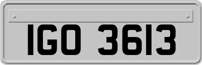 IGO3613