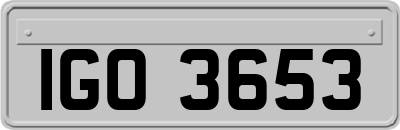 IGO3653