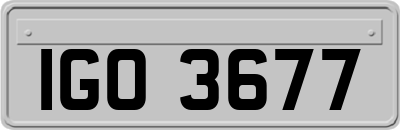 IGO3677