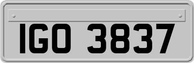 IGO3837