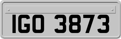 IGO3873