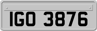 IGO3876
