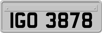 IGO3878