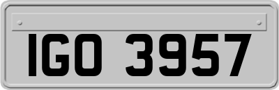 IGO3957